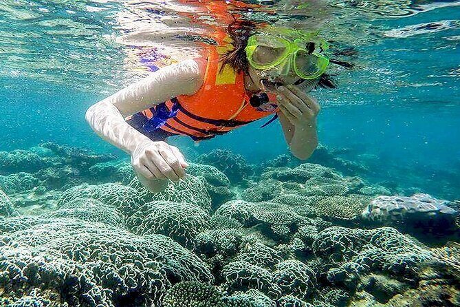 Cham Island Snorkeling Adventure from Da Nang or Hoi An - Who Should Consider This Tour?