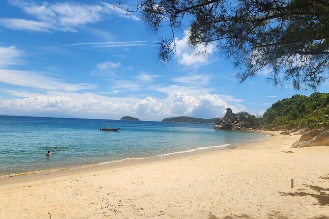 Cham Island Snorkeling Day Trip Explore from Hoi An or Da Nang - Final Verdict: Who Should Consider This Tour?