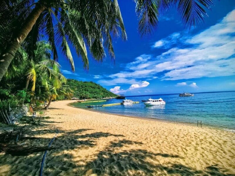 cham-island-snorkeling-experience-from-danang-2