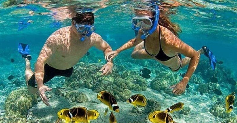 cham-island-snorkeling-experience-from-danang-2
