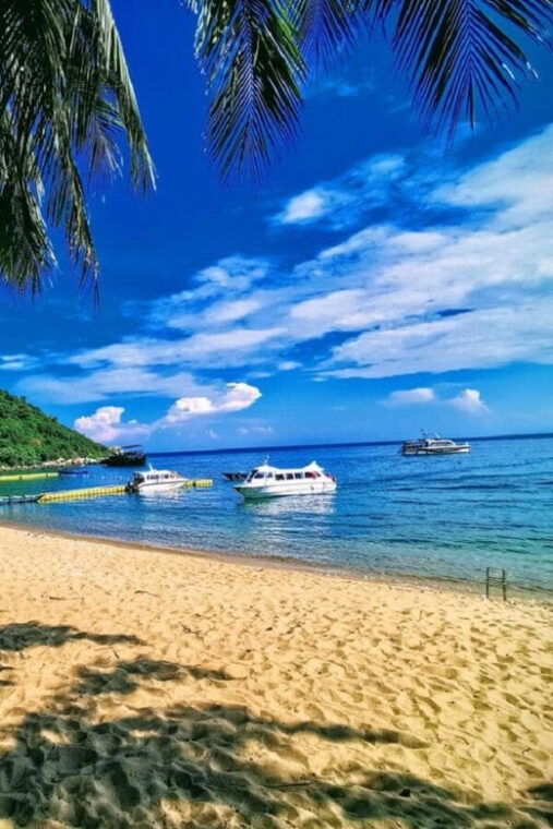 cham-island-snorkeling-experience-from-danang-2