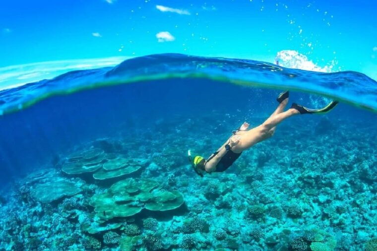 cham-island-snorkeling-experience-from-danang-2