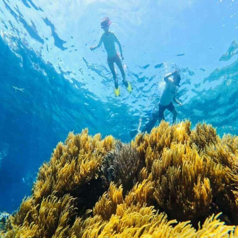 cham-island-snorkeling-tour-from-hoi-an-danang