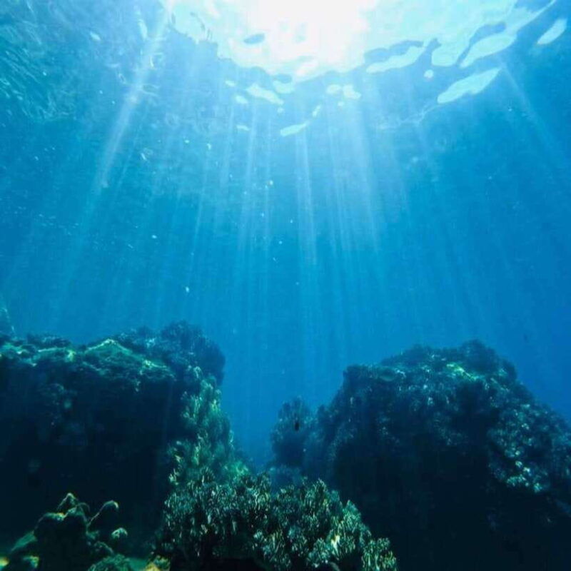 cham-island-snorkeling-tour-from-hoi-an-danang