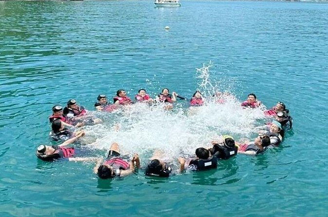 Cham Island Snorkeling Tour with Seafood Lunch Daily tour - The Sum Up