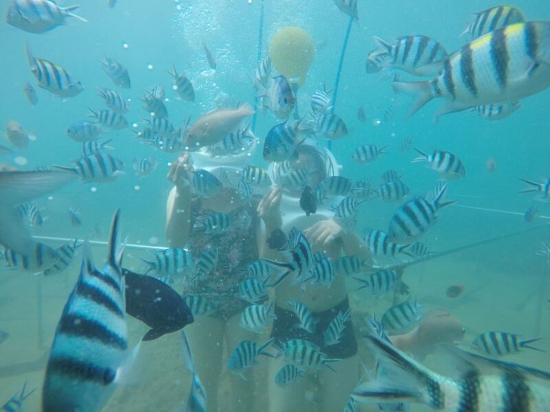 Cham Island: Underwater Walking & Snorkeling Tour - The Value: Is This Tour Worth It?