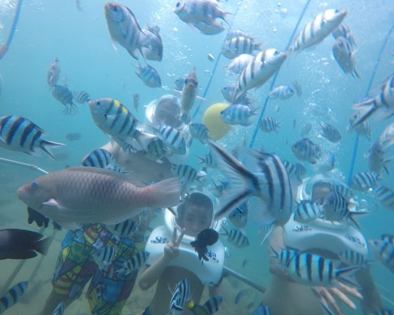cham-island-underwater-walking-snorkeling-tour
