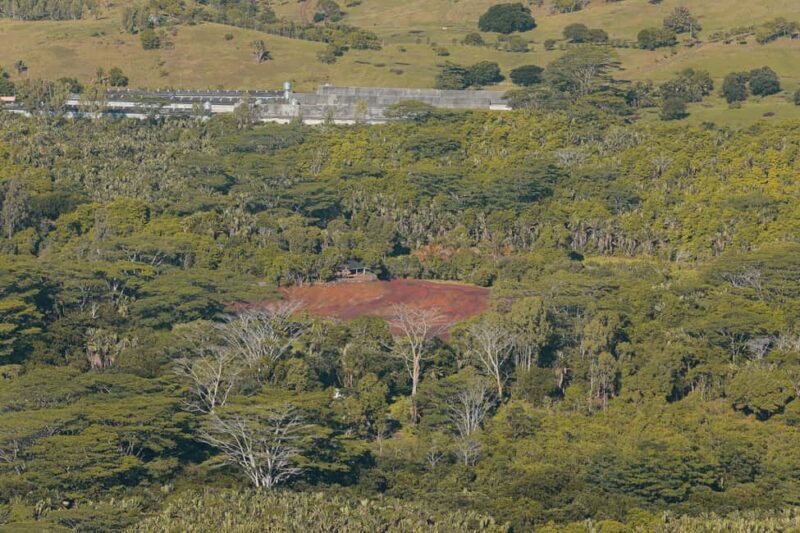 Chamarel: Sunset Mountain Hike - The Walk to the Top: What You Can Expect