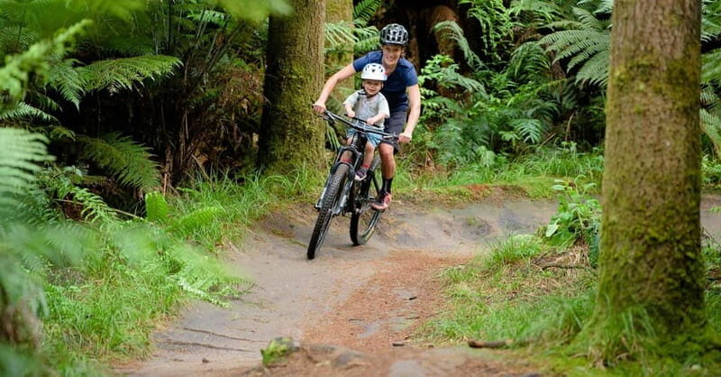 Chambéry : Electric Mountain Bike rental - The Ride and Its Highlights