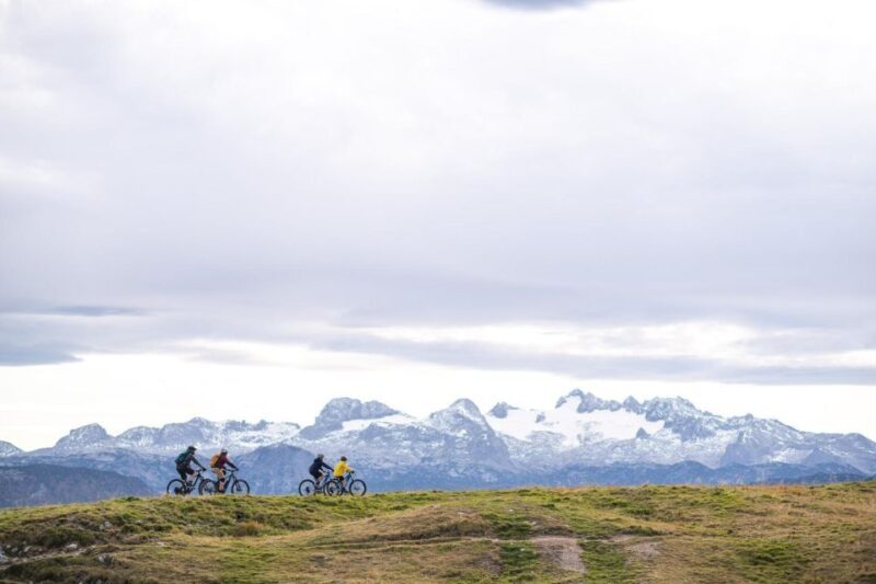 Chambéry : Electric Mountain Bike rental - The Cost and Value
