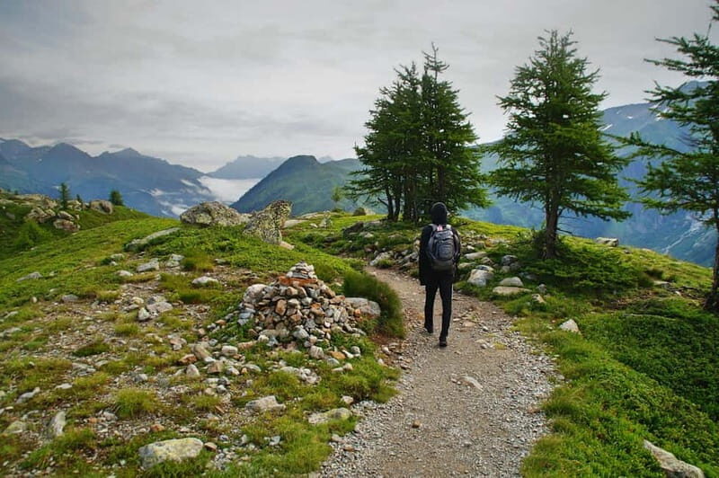Chamonix: Hike and taste local products facing Mont Blanc - A Detailed Look at the Experience