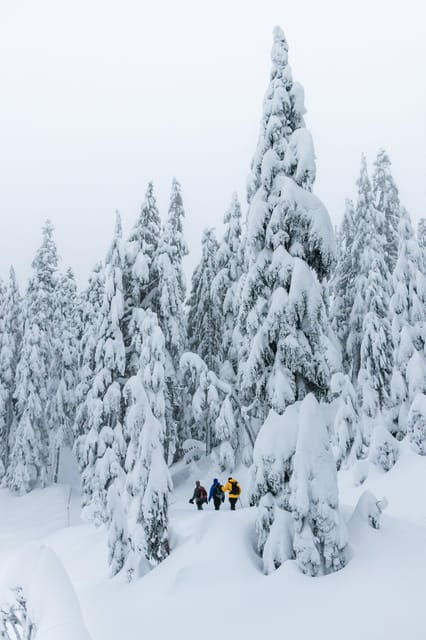 chamonix-snowshoeing-under-the-stars