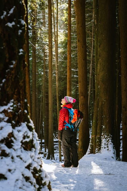 chamonix-snowshoeing-under-the-stars