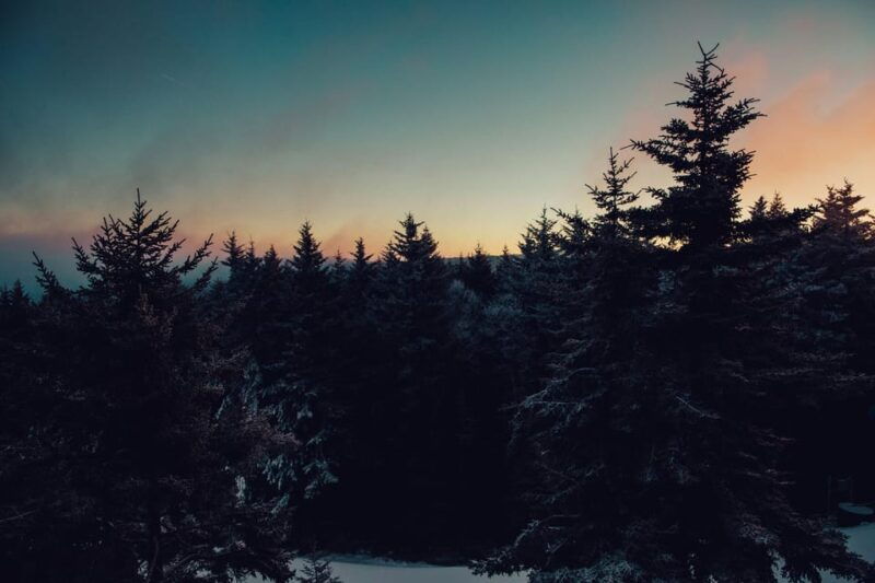 Chamonix: Snowshoeing with Local Cheese & Wine Tasting - Whats Included and What to Consider