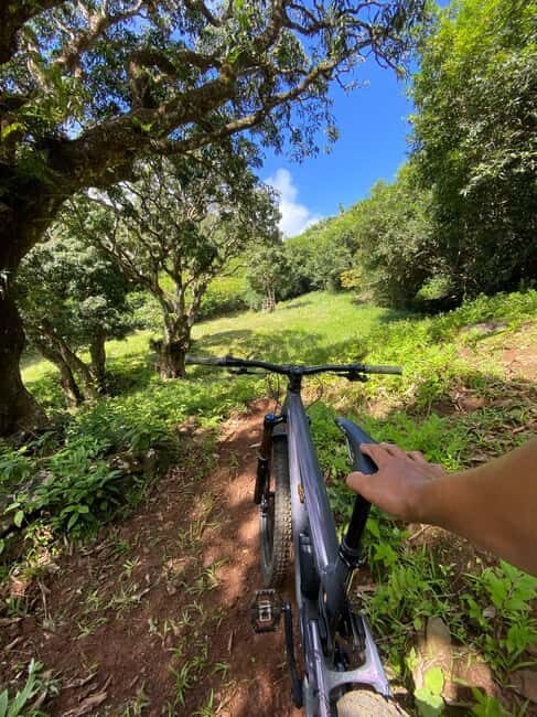 Chamouny: Personal mountain bike coaching - A Closer Look at Chamouny’s Personal Mountain Bike Coaching in Mauritius