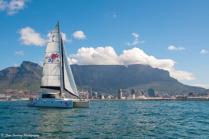 Champagne Cruise (Pre-Sunset) from Cape Town - Practical Details and Tips
