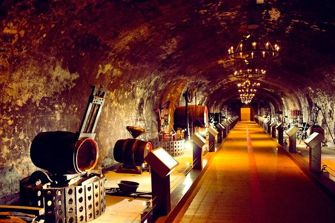champagne-day-tour-with-reims-cellars-visit-champagne-tasting-from-paris-4
