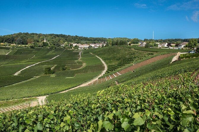 champagne-lover-touramazing-experiencewith-champagne-sabering-2