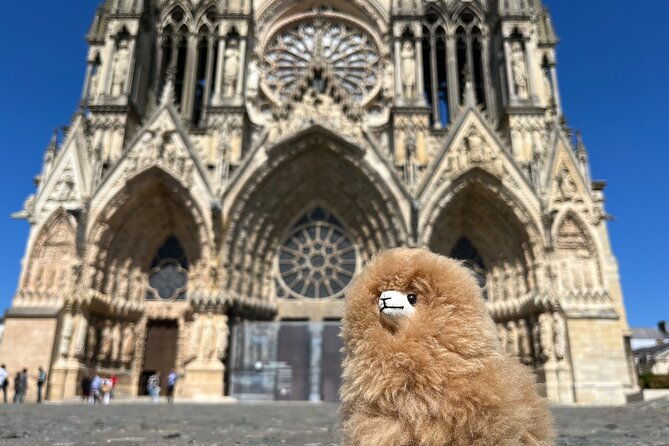 champagne-private-guided-full-day-trip-moet-veuve-clicquot