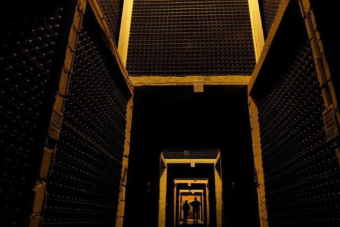 champagne-private-vip-wine-day-trip-with-michelin-lunch-4