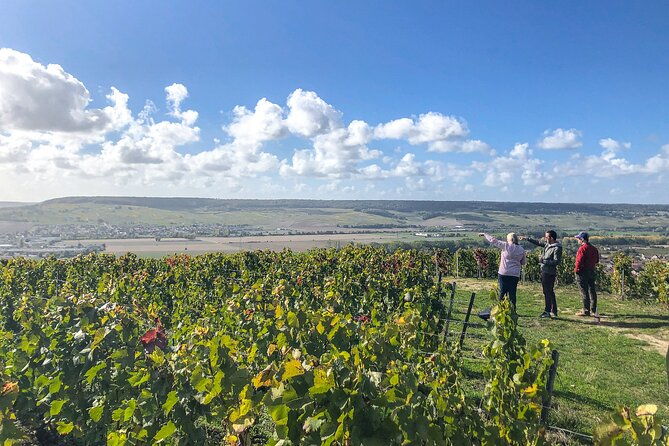 champagne-private-vip-wine-day-trip-with-michelin-lunch-4