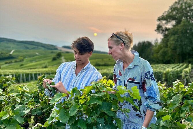 champagne-private-wine-day-trip-with-lunch-and-wine-tastings-2