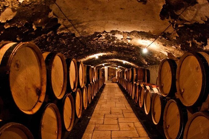 champagne-region-excursion-from-paris-with-private-driver