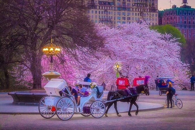 champagne-ride-central-park-with-photos-50-min-skip-the-line