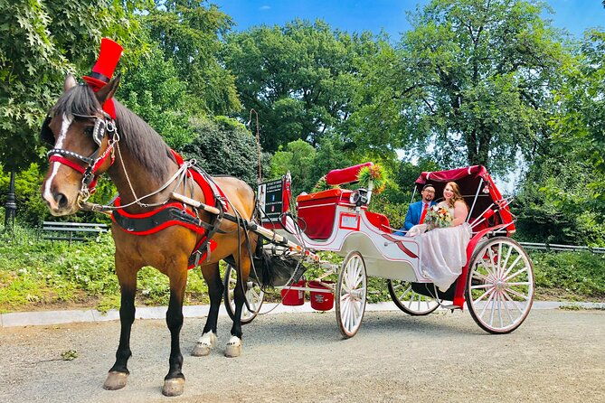 champagne-ride-central-park-with-photos-50-min-skip-the-line