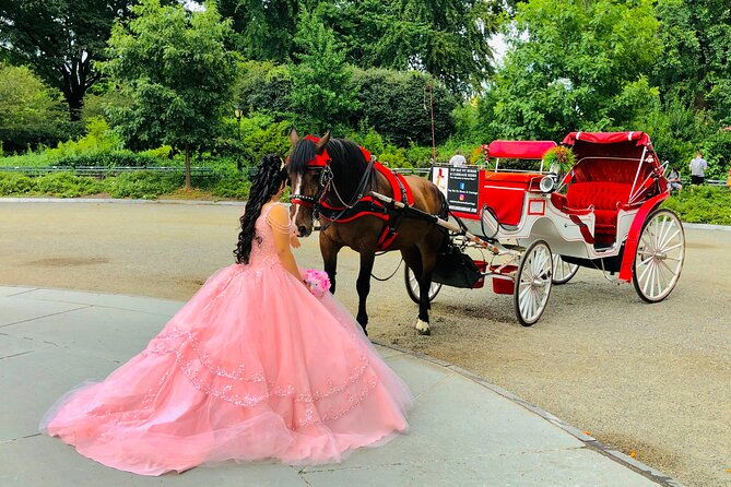 champagne-ride-central-park-with-photos-50-min-skip-the-line