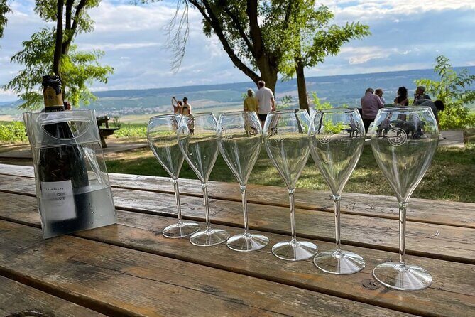 Champagne Small-Group Day Trip with Lunch and Tastings from Paris - Who Will Love This Tour?