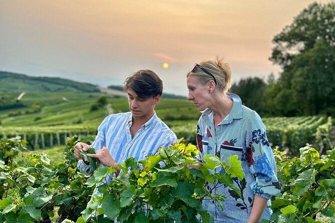 champagne-small-group-day-trip-with-wine-tastings-and-lunch