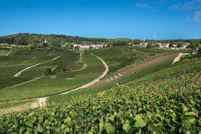 Champagne Small-Group Tour with Tastings and Lunch from Epernay - Key Points