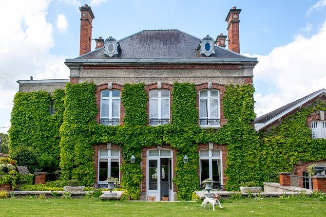 Champagne Tasting Class and Lunch near Epernay - What Travelers Love Most