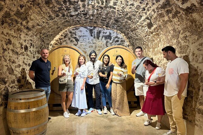 champagne-tour-and-tasting-with-a-friendly-guide-in-marne-valley