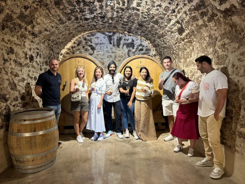 champagne-vineyard-experience-delve-into-the-terroir