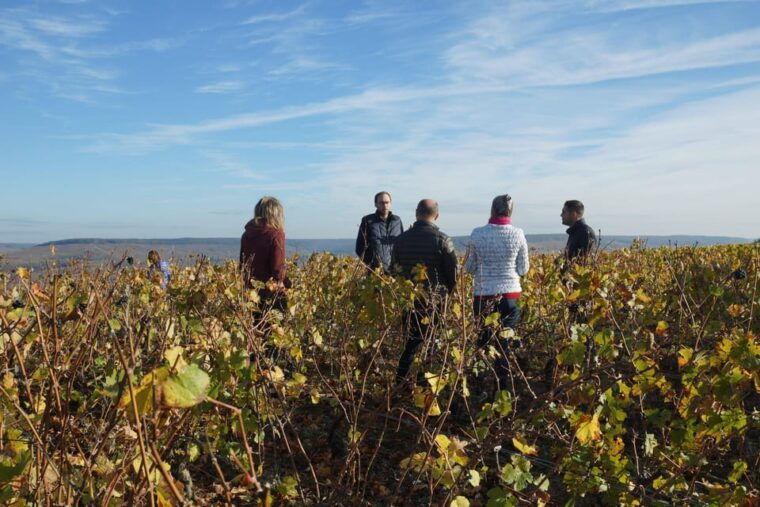 champagne-vineyard-experience-delve-into-the-terroir