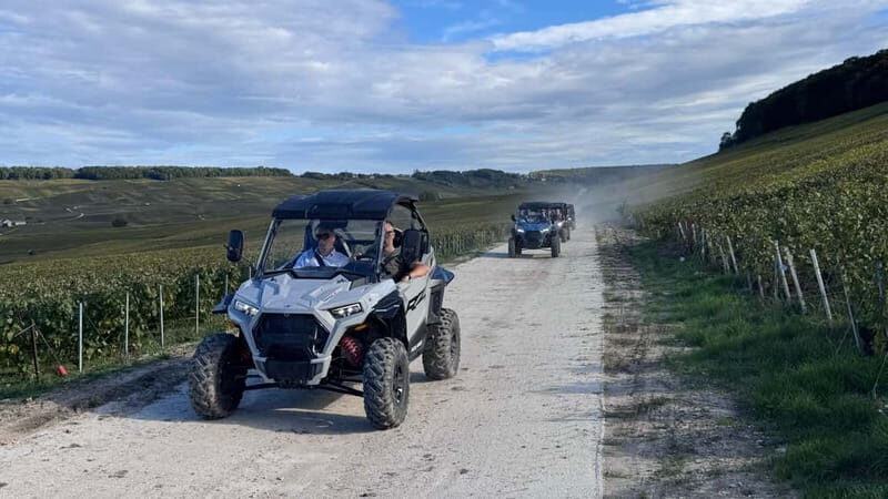 Champagne vineyards: 2-hour guided tour of the vineyards in a Buggy - An Authentic Way to Explore Champagne’s Vineyards