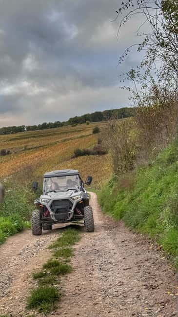 Champagne vineyards: 2-hour guided tour of the vineyards in a Buggy - What Its Not