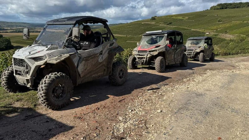 Champagne vineyards: 2-hour guided tour of the vineyards in a Buggy - Why We Loved It