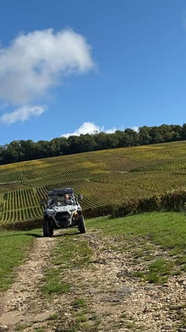 Champagne vineyards: 2-hour guided tour of the vineyards in a Buggy - Who Should Book This Tour?