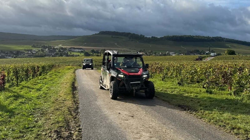 Champagne vineyards: 2-hour guided tour of the vineyards in a Buggy - Final Thoughts
