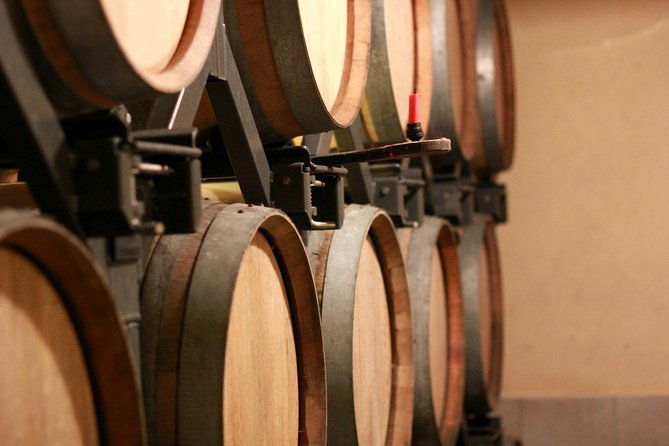 champagne-vip-day-trip-from-paris-with-local-private-wine-expert-guide