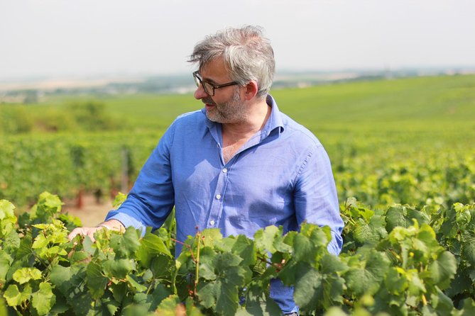 champagne-vip-day-trip-from-paris-with-local-private-wine-expert-guide