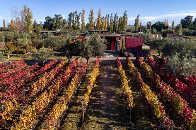 chandon-winery-enemigo-lunch-michelin-guide-transfer-included