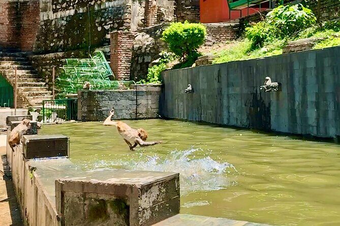 Chandragiri Cable Car Ride & Monkey Temple Tour - Private/Group - The Sum Up