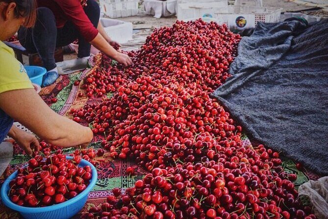 Changsha Walking Food Tour with Private Guide - FAQ