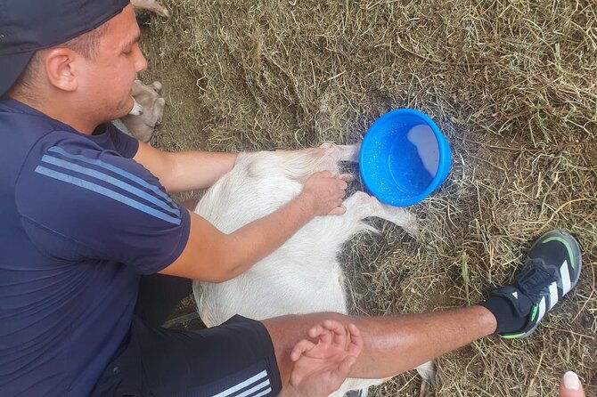 chania-area-cooking-class-at-a-farm-in-stylos-village-organic