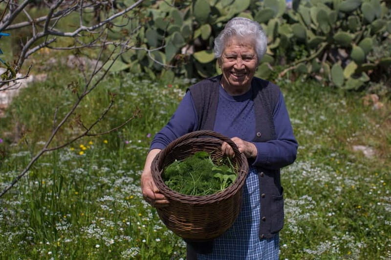 Chania: Cretan Wine, Olive Oil & Cooking Workshop - What Sets This Tour Apart