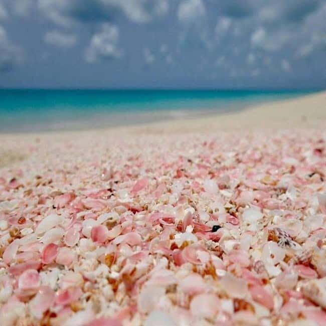 Chania: Elafonissi Express Day TourDirect Route, No Delays - Why Choose this Tour?